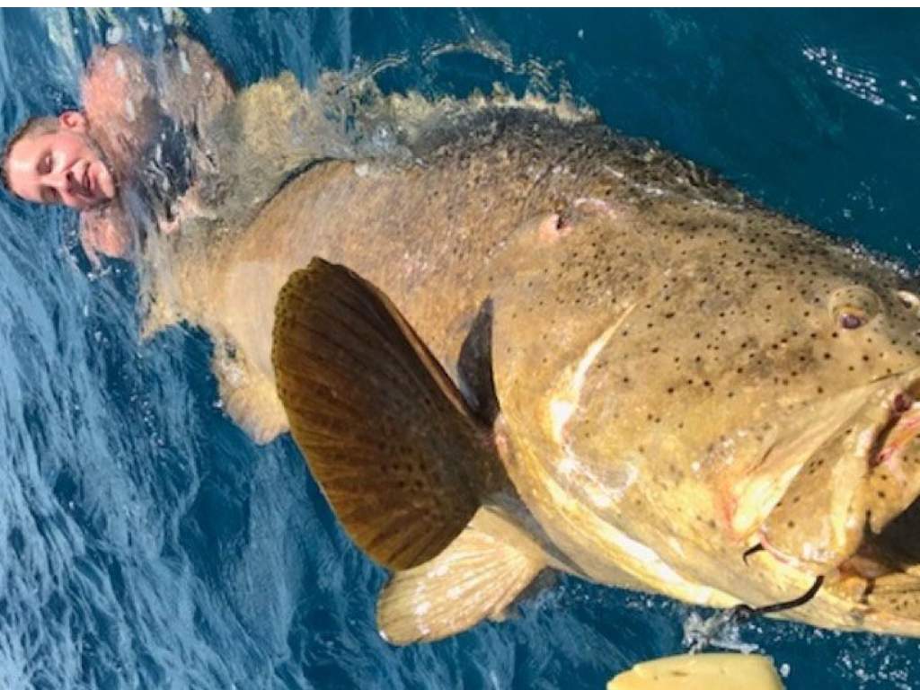 Two Florida fishermen got pulled into the water while trying to reel in a massive grouper over the Fourth of July weekend.