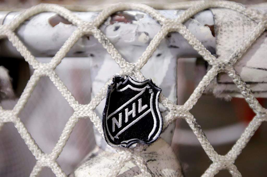 NHL and its labs say COVID-19 testing doesn’t overlap with public’s - image