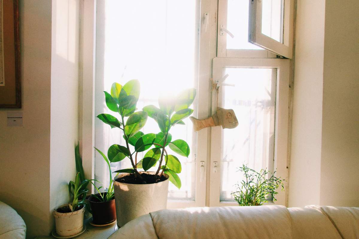 Leaving a window open on a hot summer day can lead to an intruder entering your home, warn Calgary police.