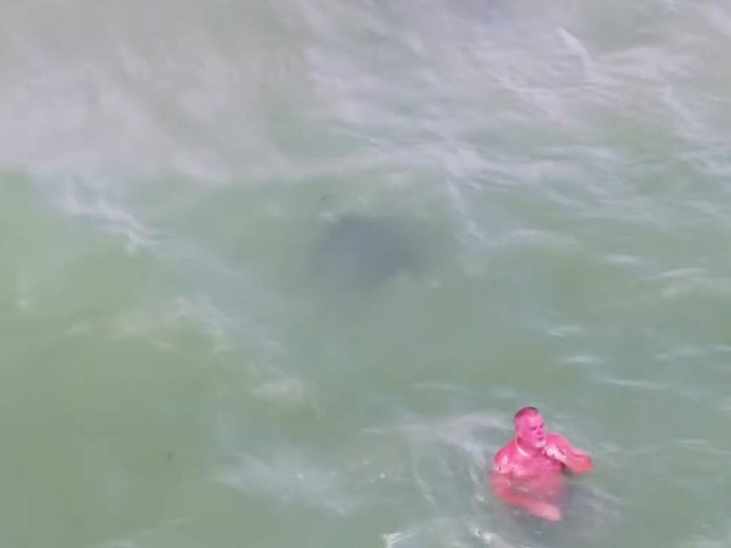 While taking drone footage of a group of stingrays in Florida, Michael J. McCarthy also spotted a heavily sunburnt man.