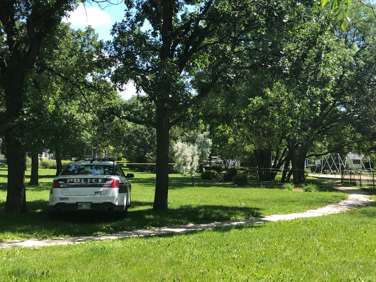 A police car in Montrose Park on Saturday afternoon.