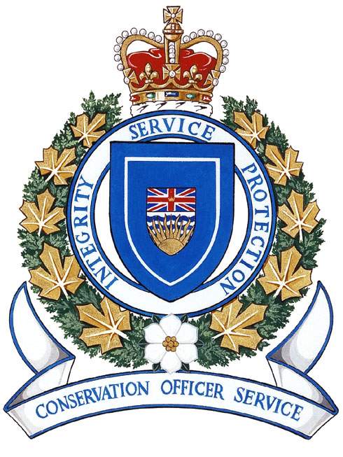 B.C. Conservation Officers euthanized a bear over the weekend that was deemed a public safety risk at a Coquitlam golf course.