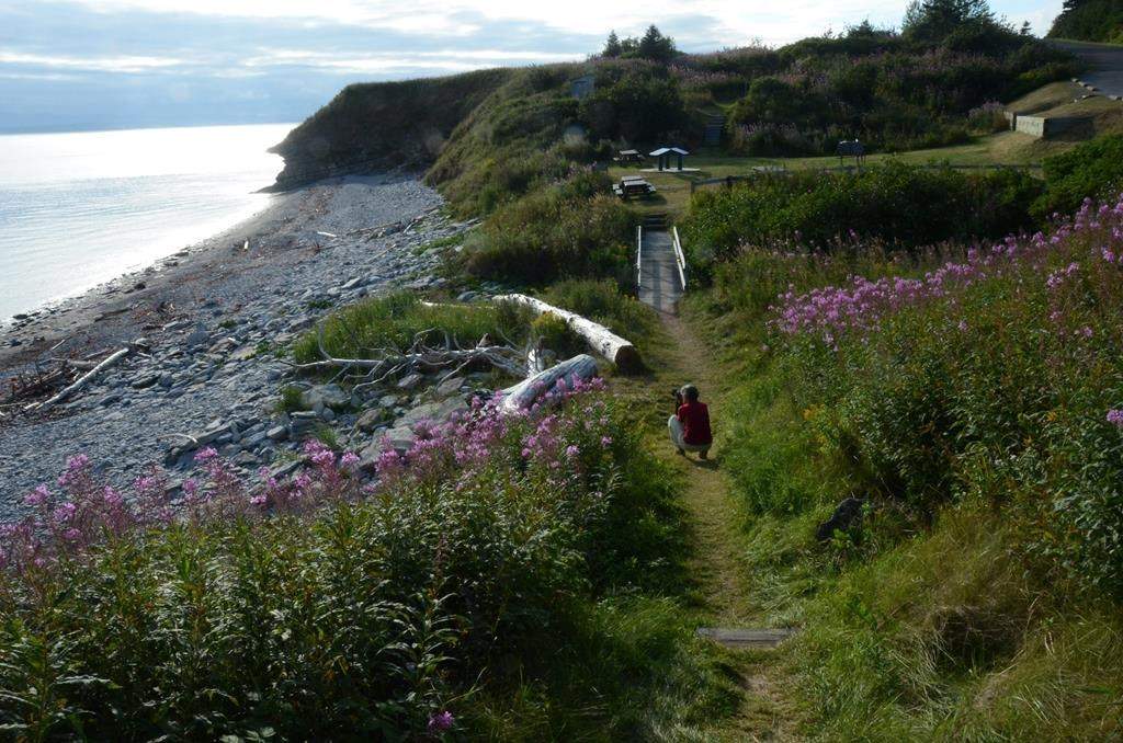 A photographer captures the vista in the south sector of Forillon National Park, in Gaspesie, Que. on Aug. 19, 2016. A member of the Quebec legislature representing the popular tourist region of Gaspe is calling on the province to send police and money to help locals deal with rowdy vacationers.THE CANADIAN PRESS/AP, Cal Woodward.