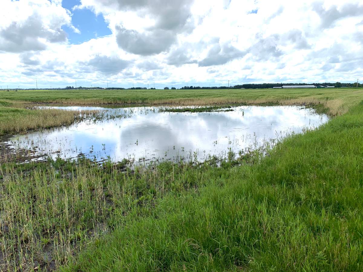 Heavy rains have hit Southern Manitoba causing delays across many sectors.