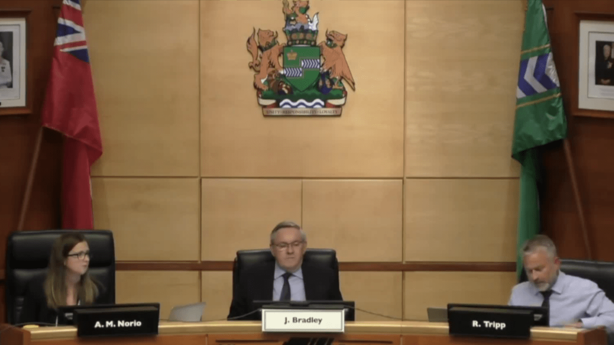 Niagara Region councillors voted in favor of a mandaorty mask bylaw in a short session during a council meeting on July 23, 2020.