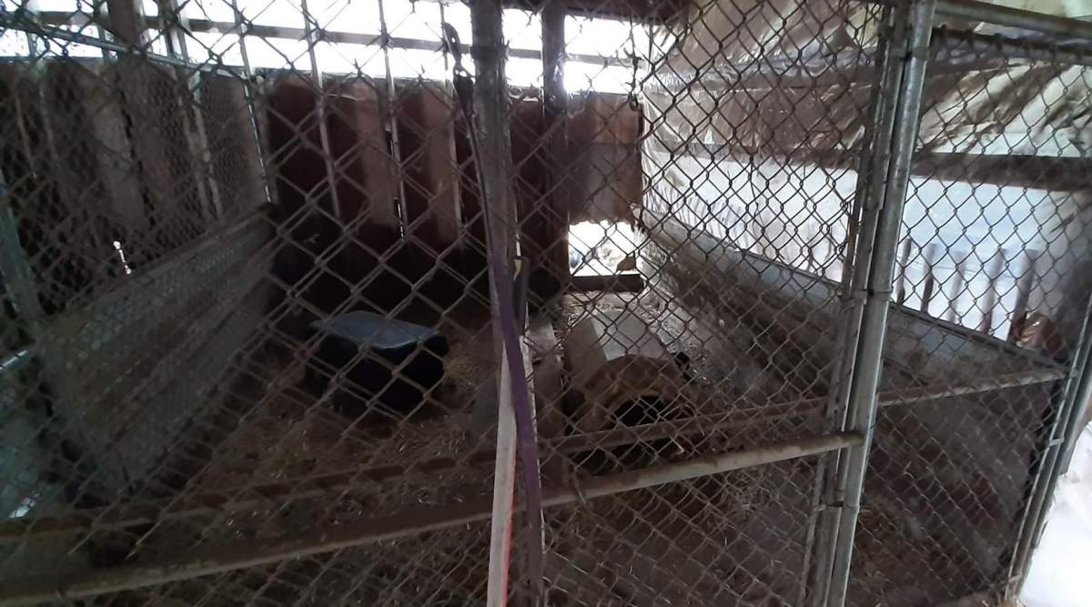 This is one of the properties the Alberta SPCA searched in its investigation.