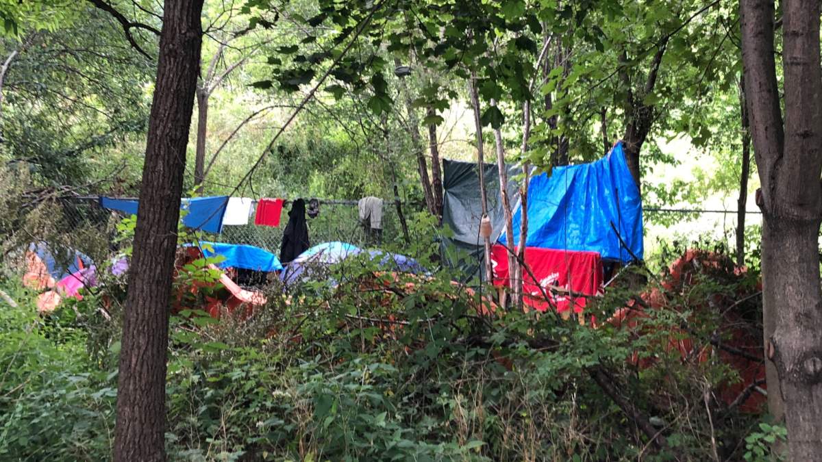Hamilton's acting director of environmental services has said that city staff and contractors cleaned up 262 encampments at 60 different locations in 2021.
