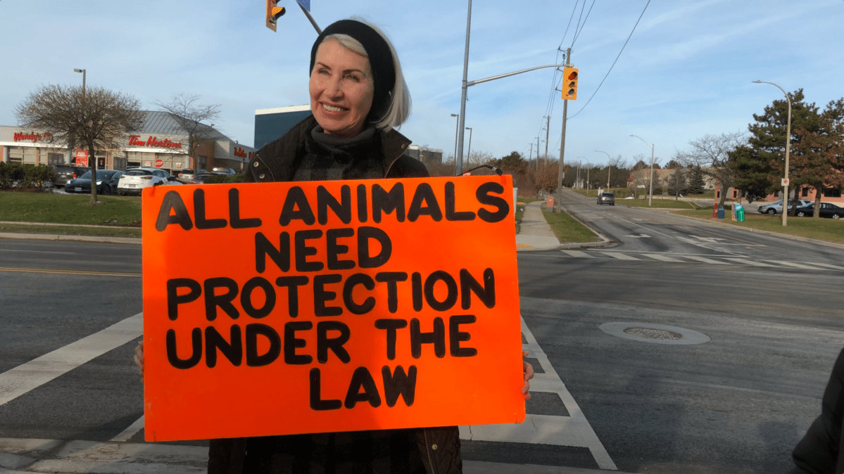 Regan Russell, a longtime animal rights activist, was killed during a demonstration outside of a pork processing plant in Burlington, Ont., on June 19.