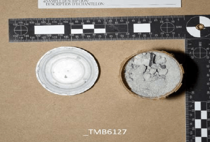 Bomb-making materials found in home of Kingston ISIS supporter.