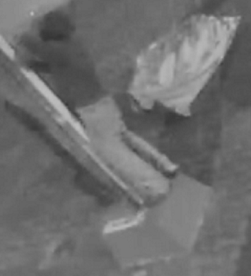 Sunshine Coast RCMP say they have surveillance video of the suspect on July 7.