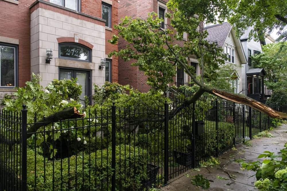 Tree branches block the entrance of a home after a severe thunderstorm battered Chicago neighborhoods, Monday, Aug. 10, 2020.
