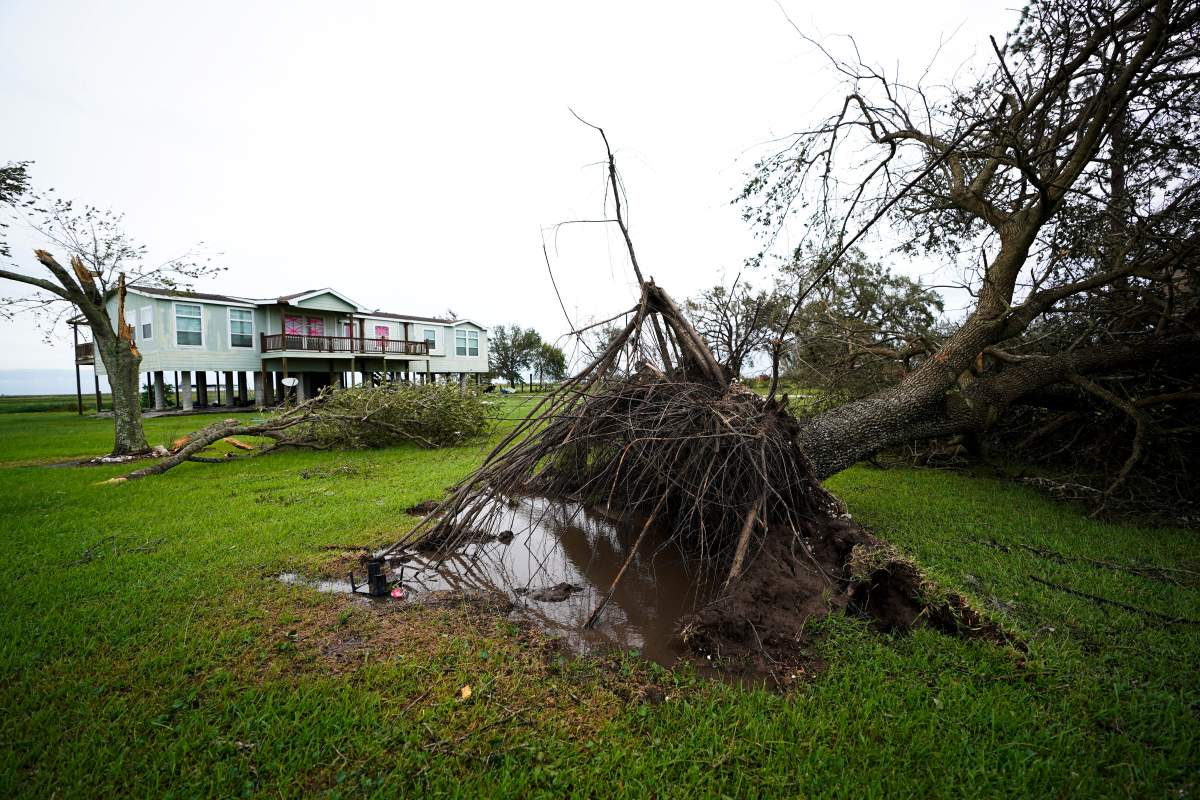 A tree is uprooted in the aftermath of hurricane Laura Thursday, Aug. 27, 2020, in Sabine Pass, Texas.