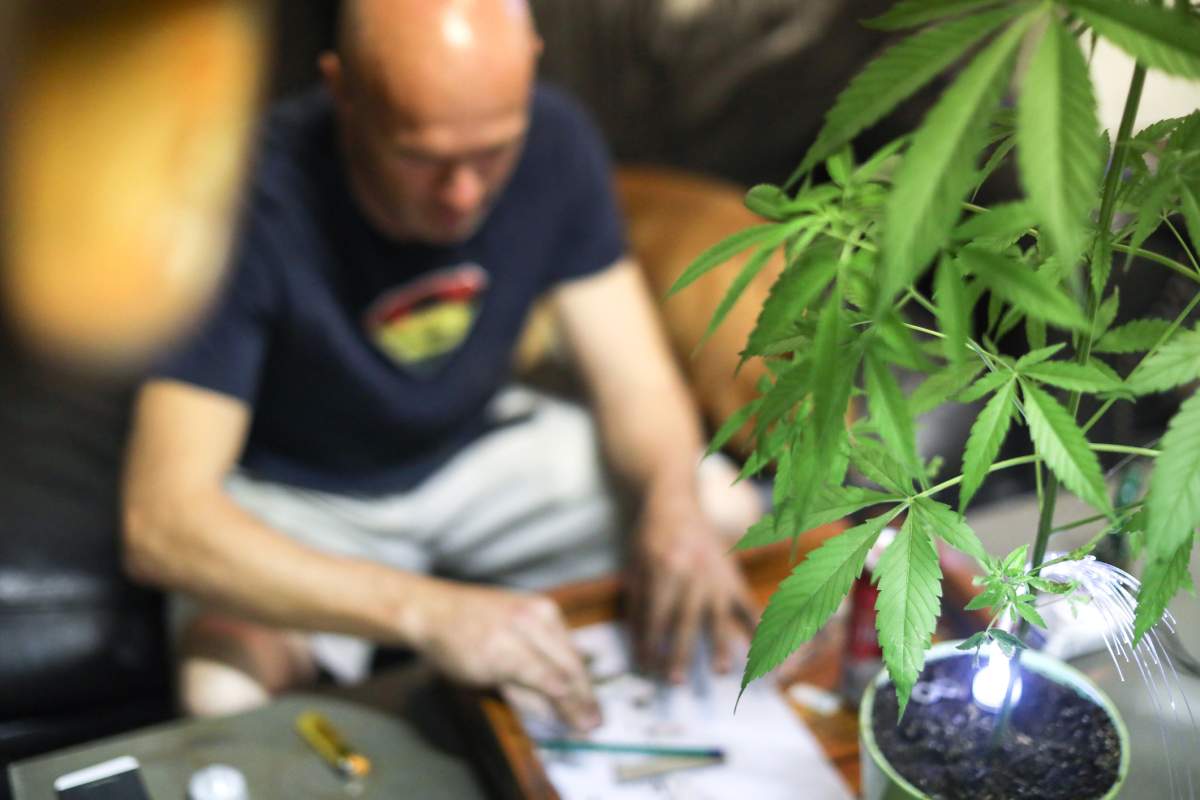 Trying to grow your own pot at home? In Manitoba, it's not as easy as in other provinces.