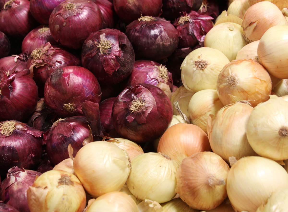 Consumers who have the onions are advised to either throw them out or return them to the place of purchase. So far there have been no reported illnesses linked to the produce.