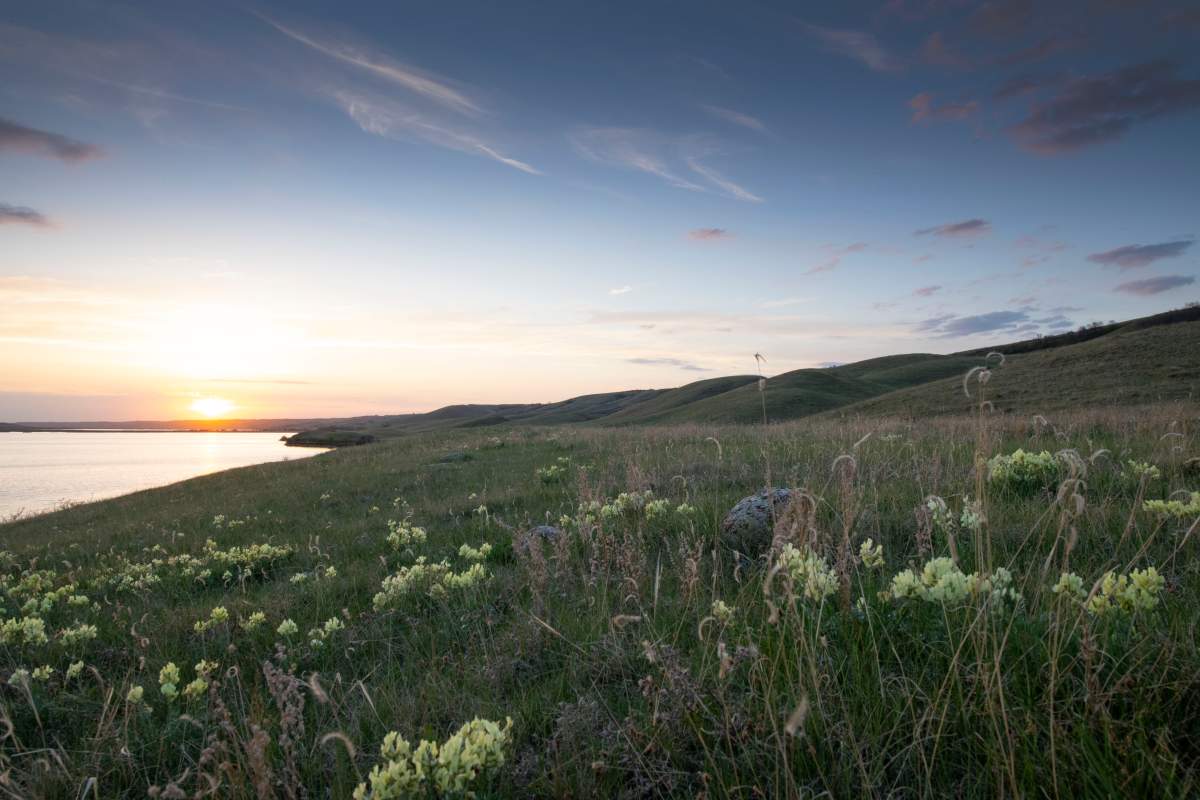An 866-hectare property that includes seven kilometres of shoreline along Buffalo Pound Lake is now among the Nature Conservancy of Canada's conservation sites.