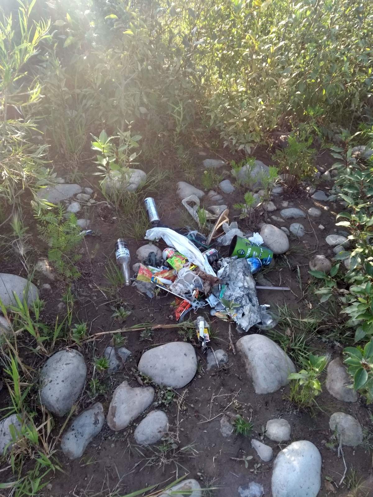 ‘We found feces fairly close to the river’: Calgary cleanup crews find gross amounts of garbage in public parks, other green spaces - image