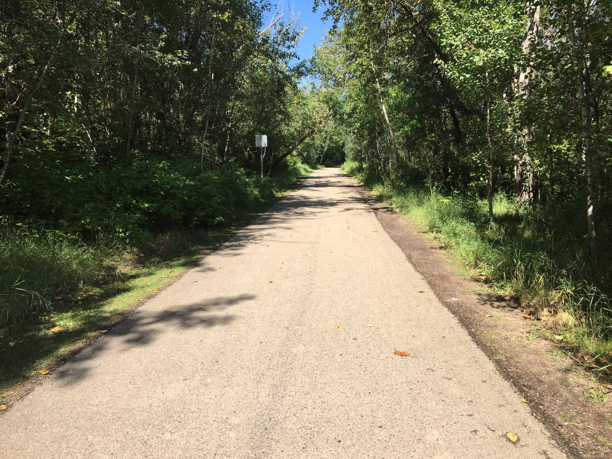 The Mill Creek Ravine in Edmonton, Alta. on Wednesday, August 12, 2020.