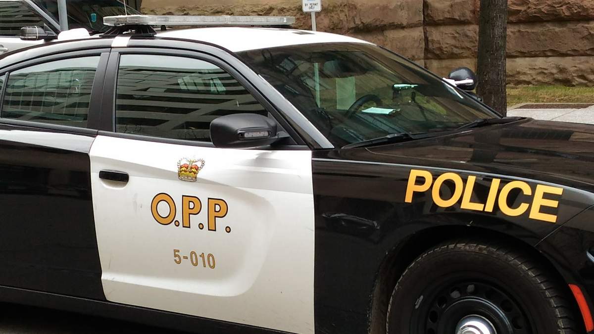 According to police, two men started arguing during a neighbourhood barbecue when one of them took out a handgun and shot multiple rounds into the sky before fleeing in a vehicle.