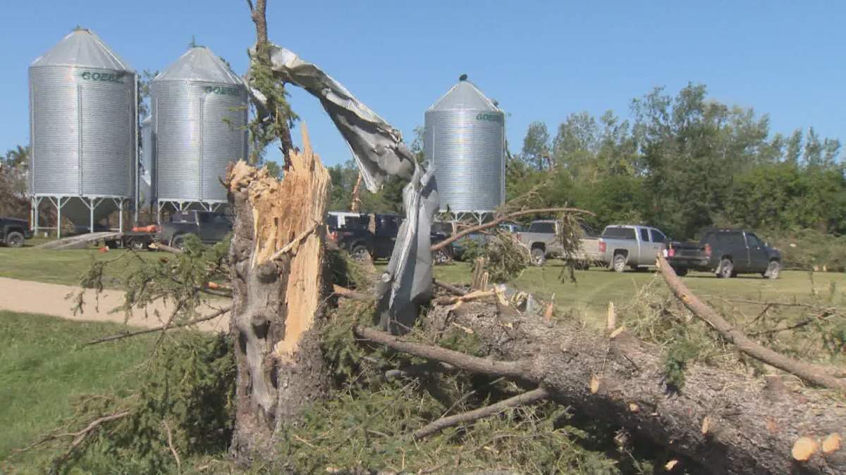 Destruction left behind by a tornado that touched down near Virden, Manitoba.