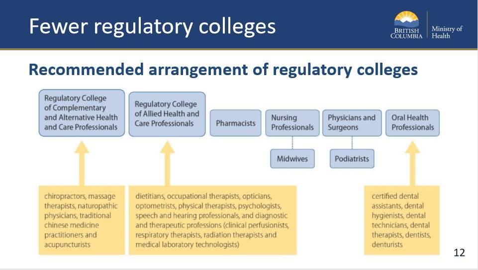 B.C. moves towards overhaul of how health professions are regulated - image