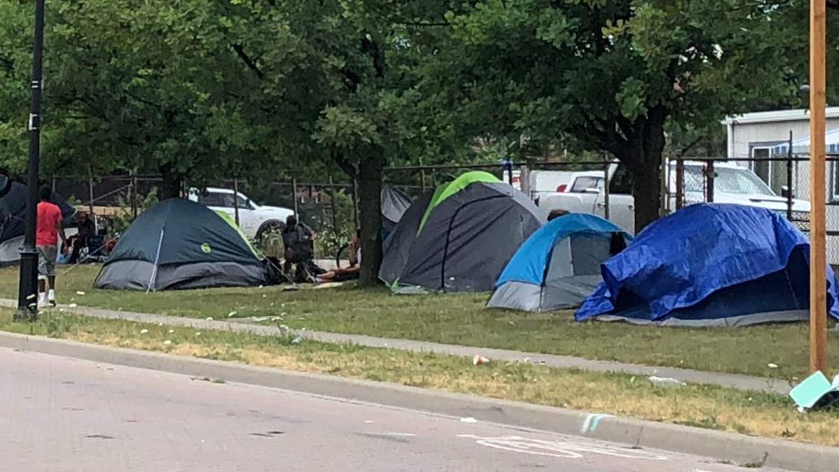 Hamilton's housing director says an estimated 80 to 90 people are living in the city's parks as winter weather arrives.