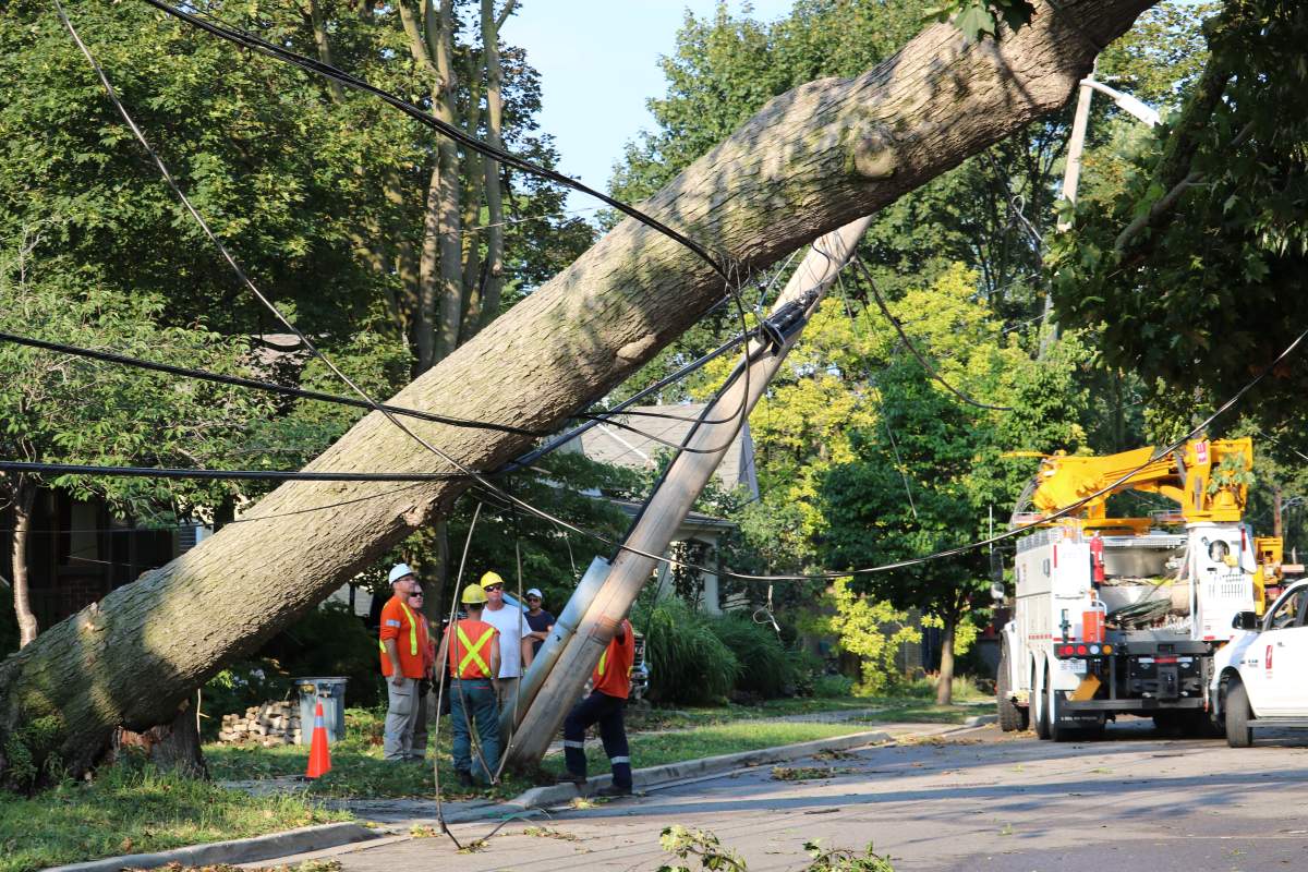 Severe storm brings down tree, hydro wires in London, Ont. Aug 27, 2020.
