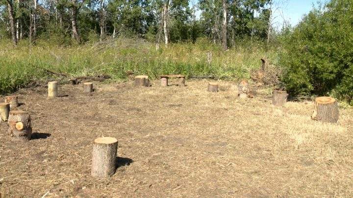 The outdoor classroom has a central meeting point, but students can also explore the 71 acres of land.