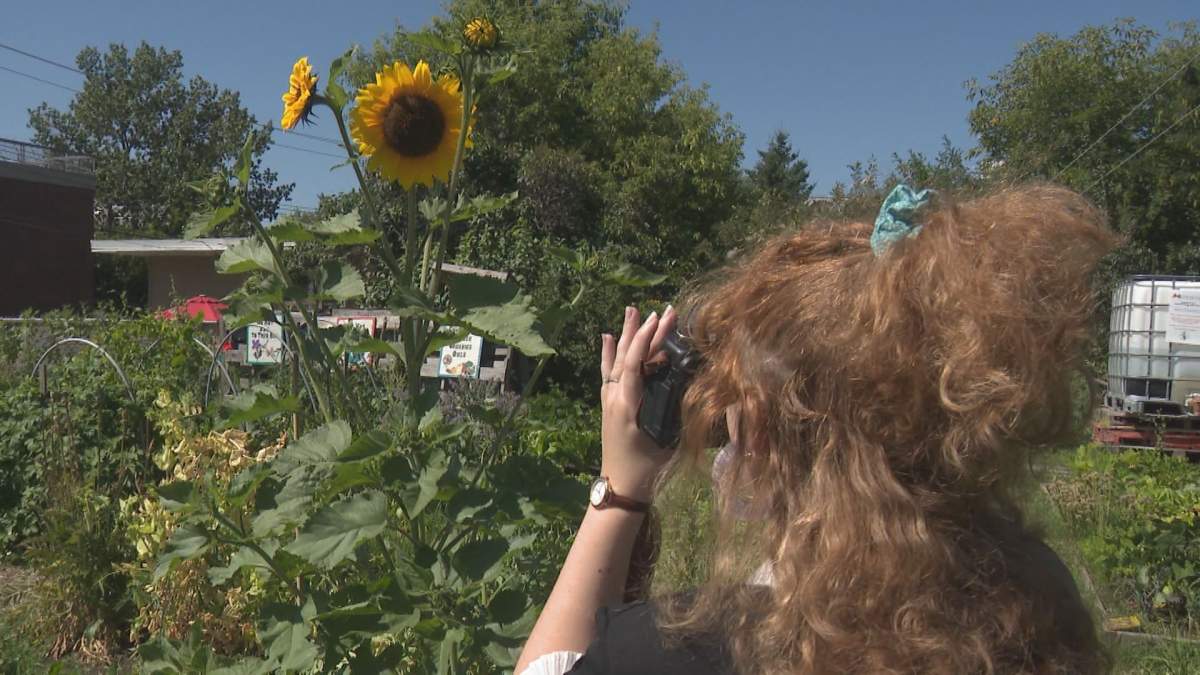 Calgary photographer warns others about costly overpayment scam