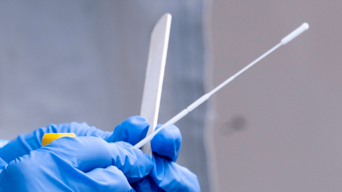 File: Nasal swab collected for clinical diagnoses of COVID-19.