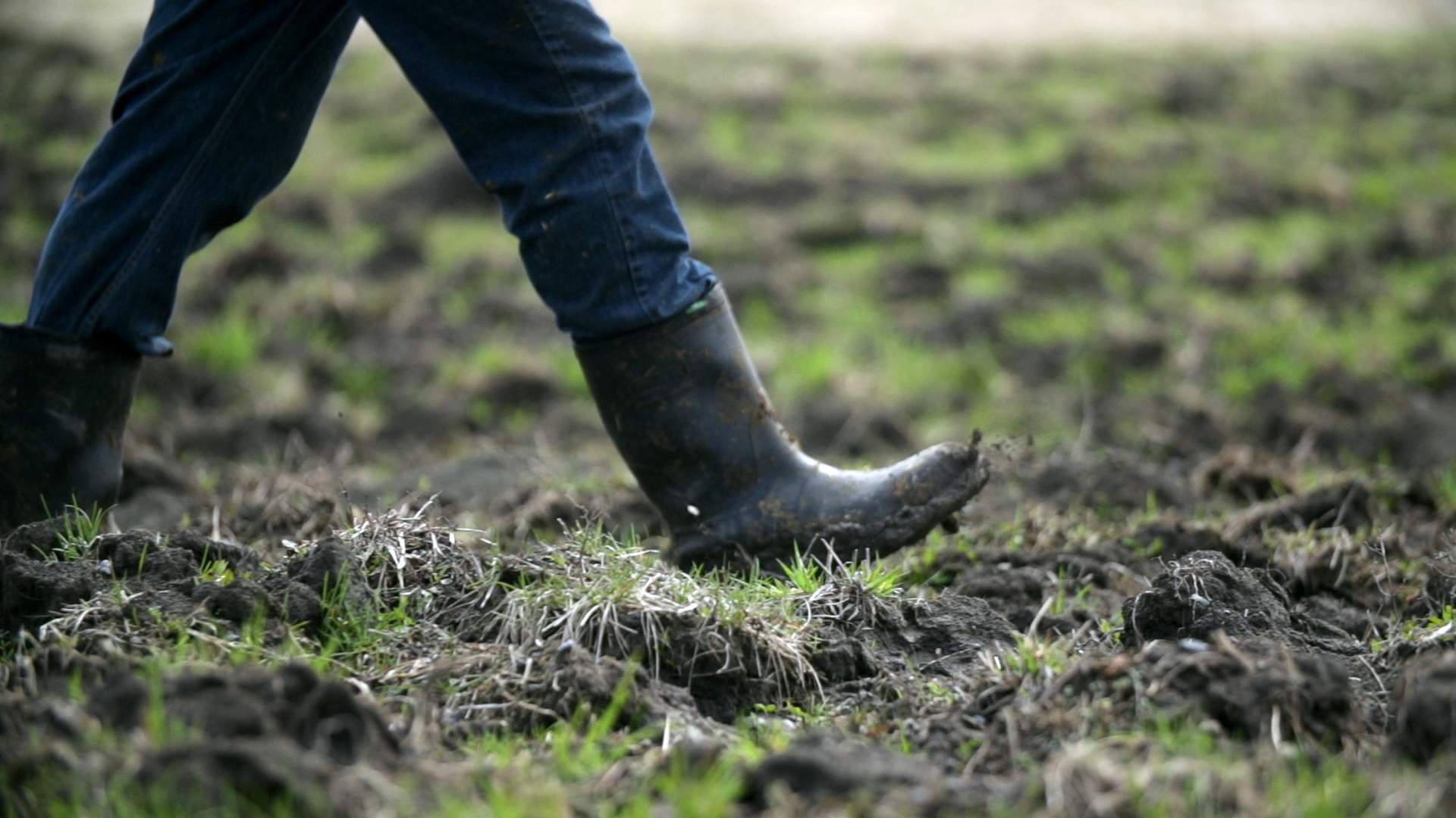 Stock farmer footage.