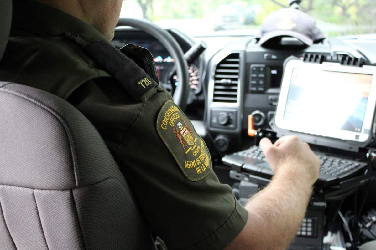 A Peterborough man is accused of assaulting a conservation officer on the weekend.
