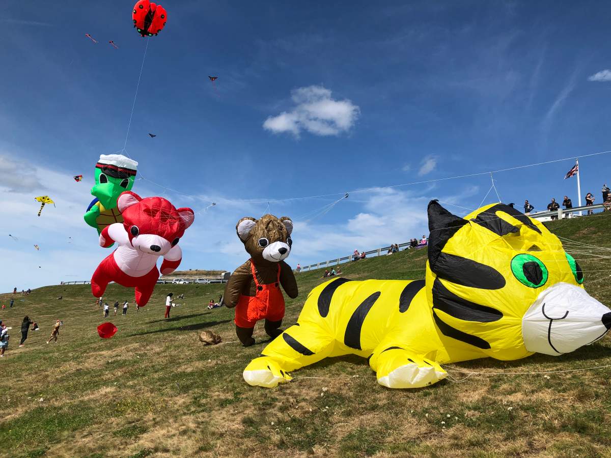 It takes a team to fly these large inflatable kites, owned by the Atlantic Kite Festival Society.