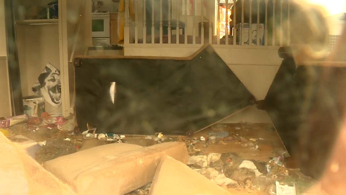Conditions inside a southeast Calgary home led to the seizure of seven animals.