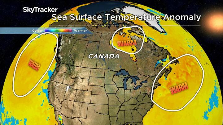 Canada’s Fall Forecast 2020