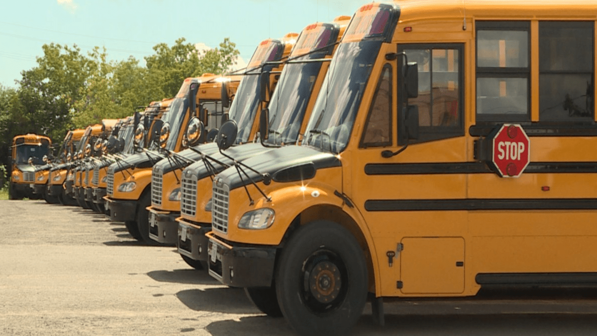 Cancellations, delays plague Hamilton school bus routes - image