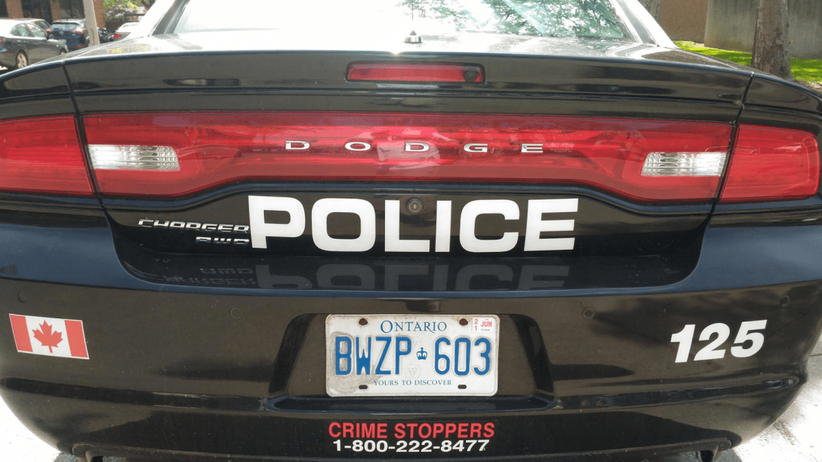 A Hamilton police project to refine race and identity data is expected to include development of a local advisory panel to define disparities in treatment during encounters between police and the general public.