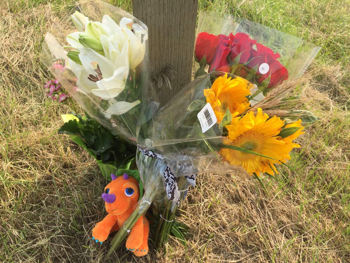 Sherwood Park teens killed in Highway 21 collision remembered by friends - image