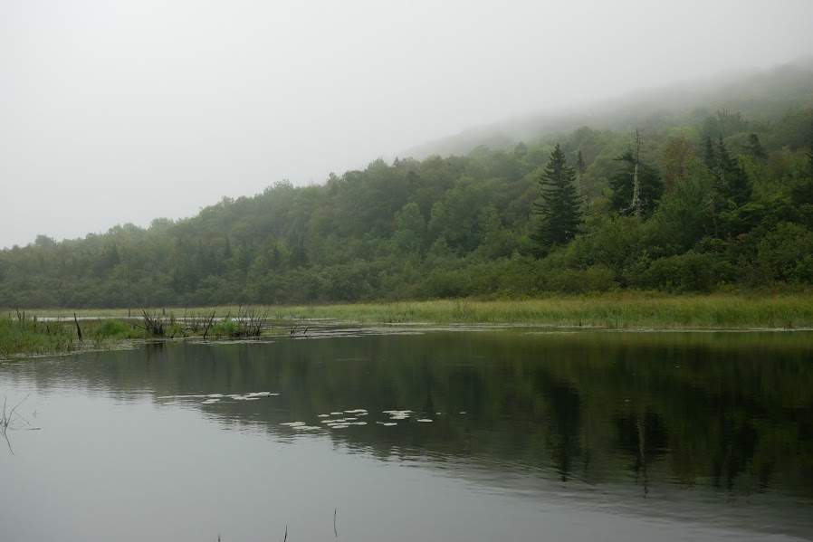 Image of the purchased property in Damascus, northeast of Saint John. 