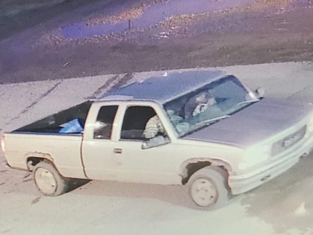 Peace River RCMP believe a pedestrian who was hit and killed along with his dog on a northern Alberta road had earlier crashed a pickup truck into a creek.