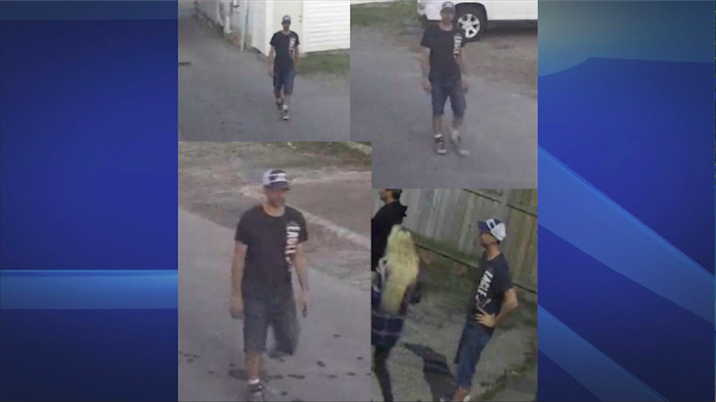 Woodstock police say the suspect was wearing glasses, blue jean shorts, a dark shirt, a hat that is dark on the front and white on the back, grey shoes and white socks.