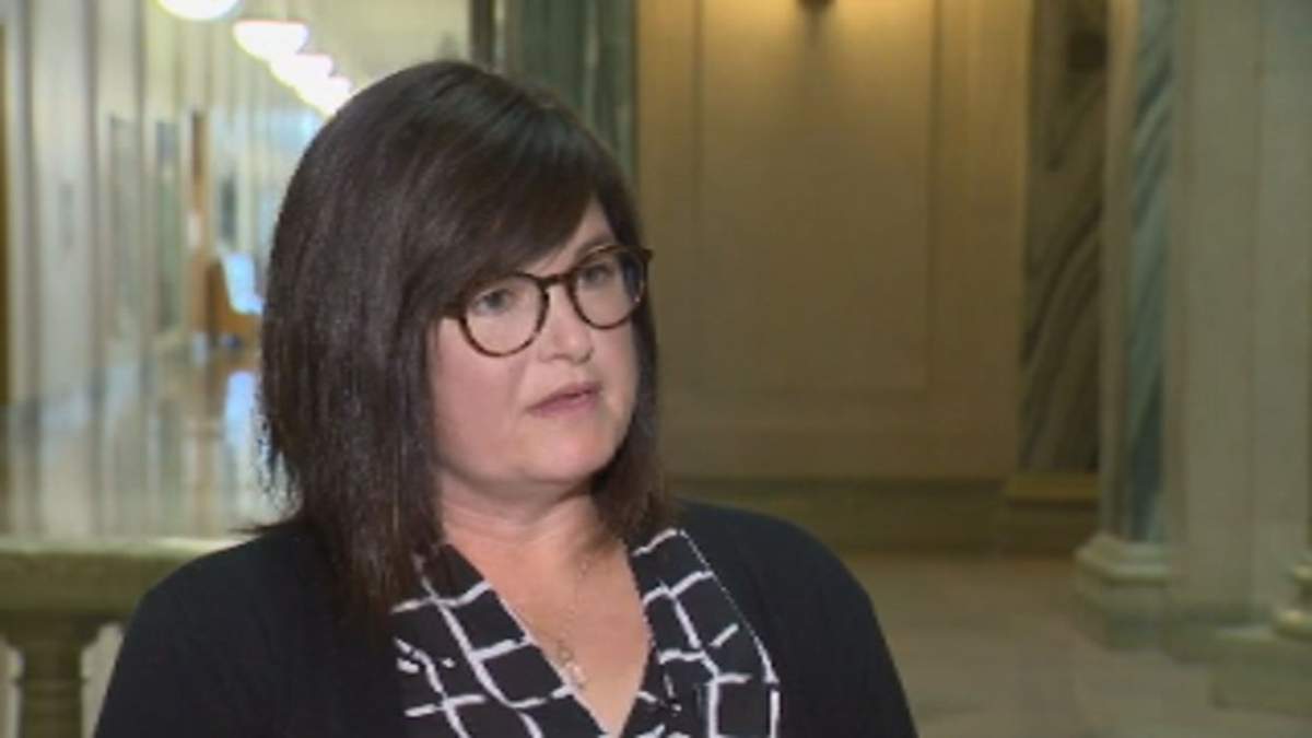 The NDP have announced the shadow cabinet for Saskatchewan after MLA Nathaniel Teed won the Saskatoon Meewasin byelection.