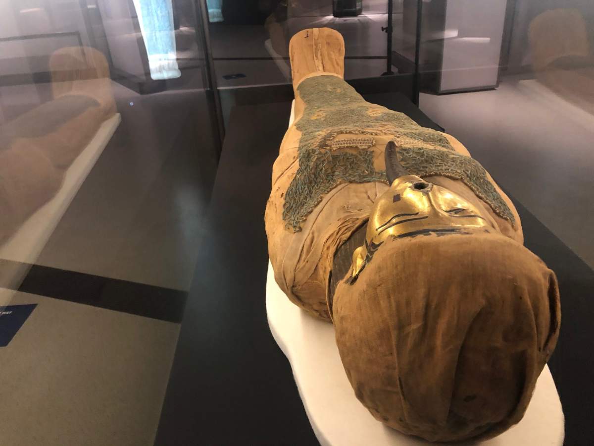 Mummies