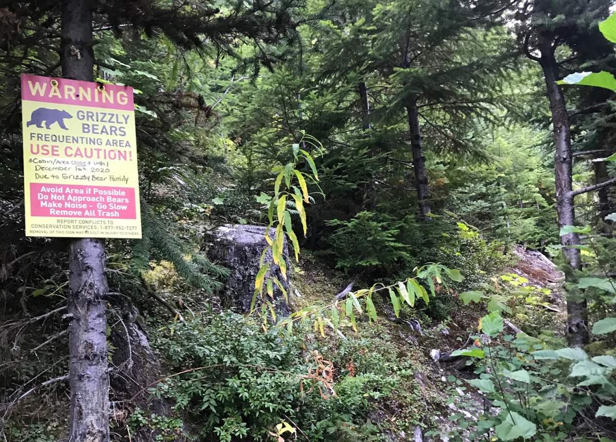Signage on the North Creek Trail warns hikers to avoid the area after a grizzly attack. 