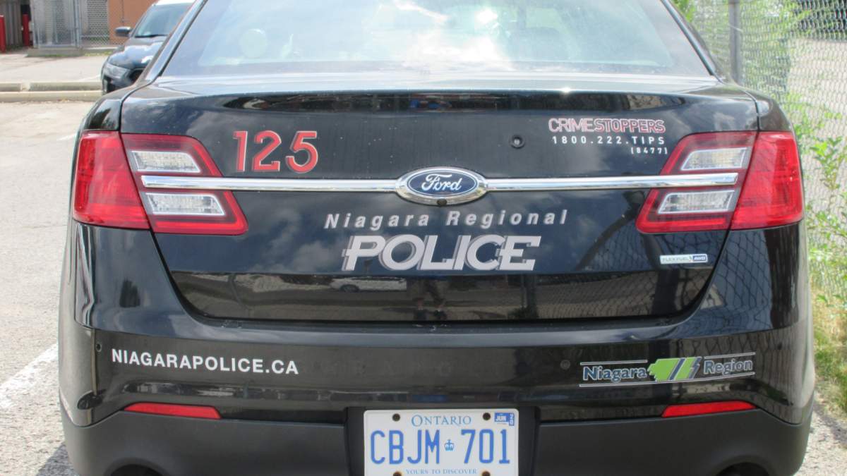 Niagara Regional Police say officers are checking out a report of a wolf on the loose in Port Colborne Aug. 2, 2022.