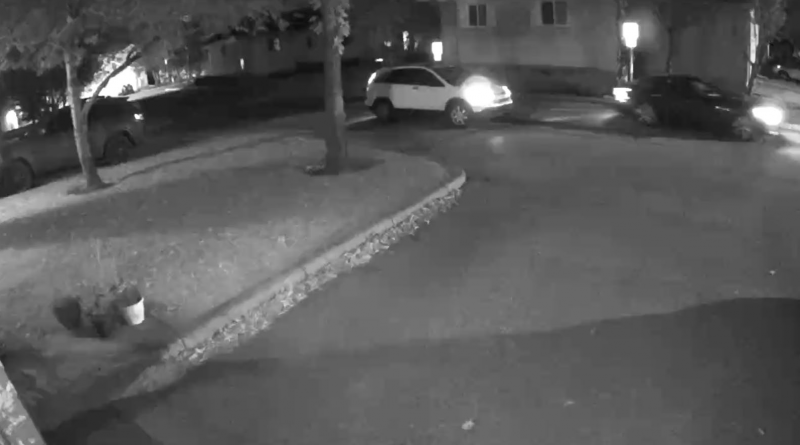 Calgary police say a blue 2017 Nissan Maxima and white 2007 to 2009 Honda CRV thought to be linked to the shooting death of Matthew David Maniago in McKenzie Lake in October 2019.