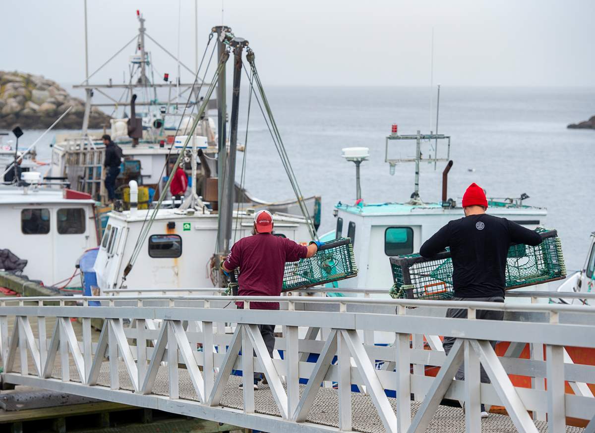 Indigenous fishermen carry lobster traps in Saulnierville, N.S. on Wednesday, Oct. 21, 2020. Tensions remain high over an Indigenous-led lobster fishery that has been the source of conflict with non-Indigenous fishermen. THE CANADIAN PRESS /Andrew Vaughan.