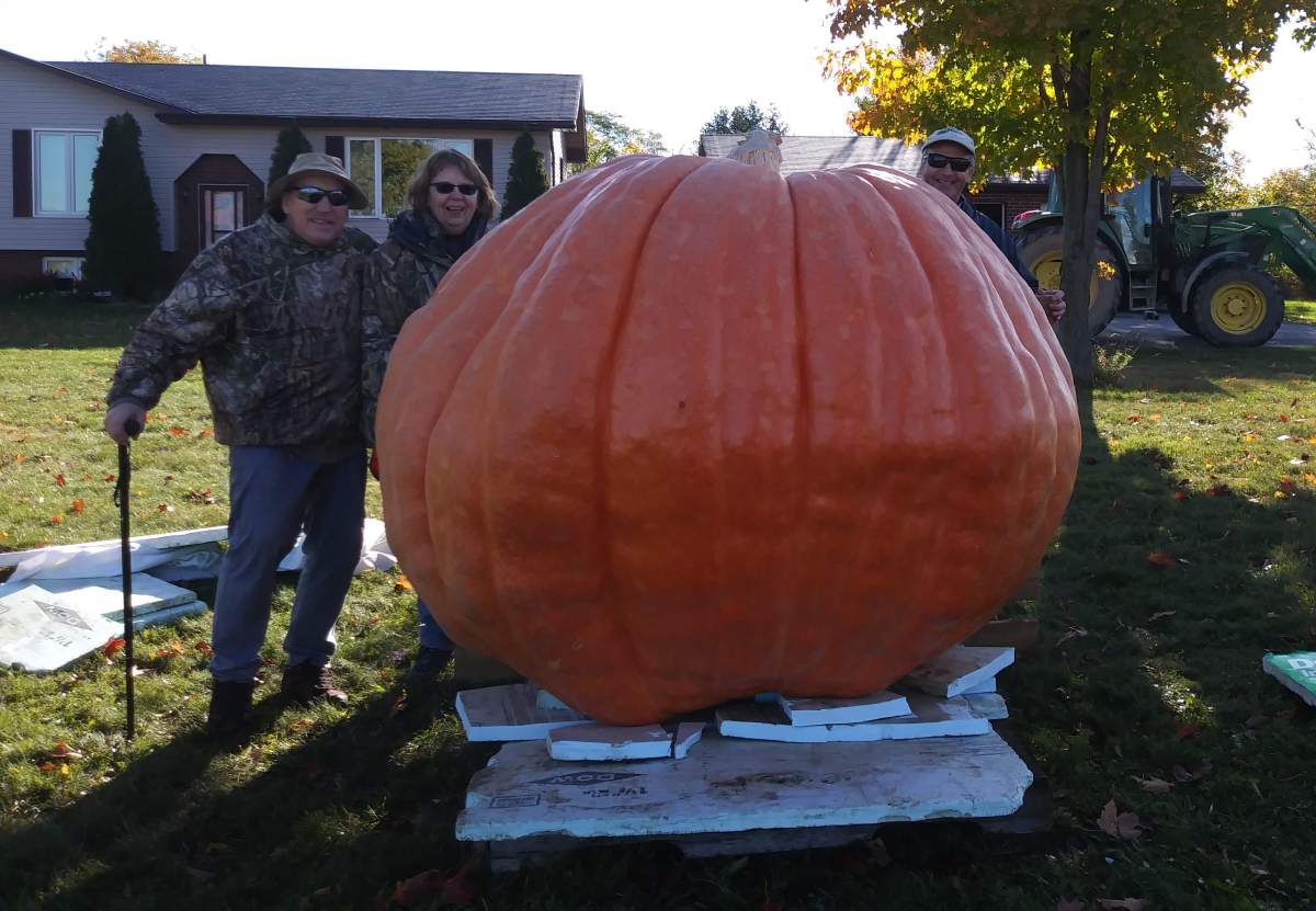 The Hunt family in Cameron, Ont., has grown another giant pumpkin that could set a Canadian record.