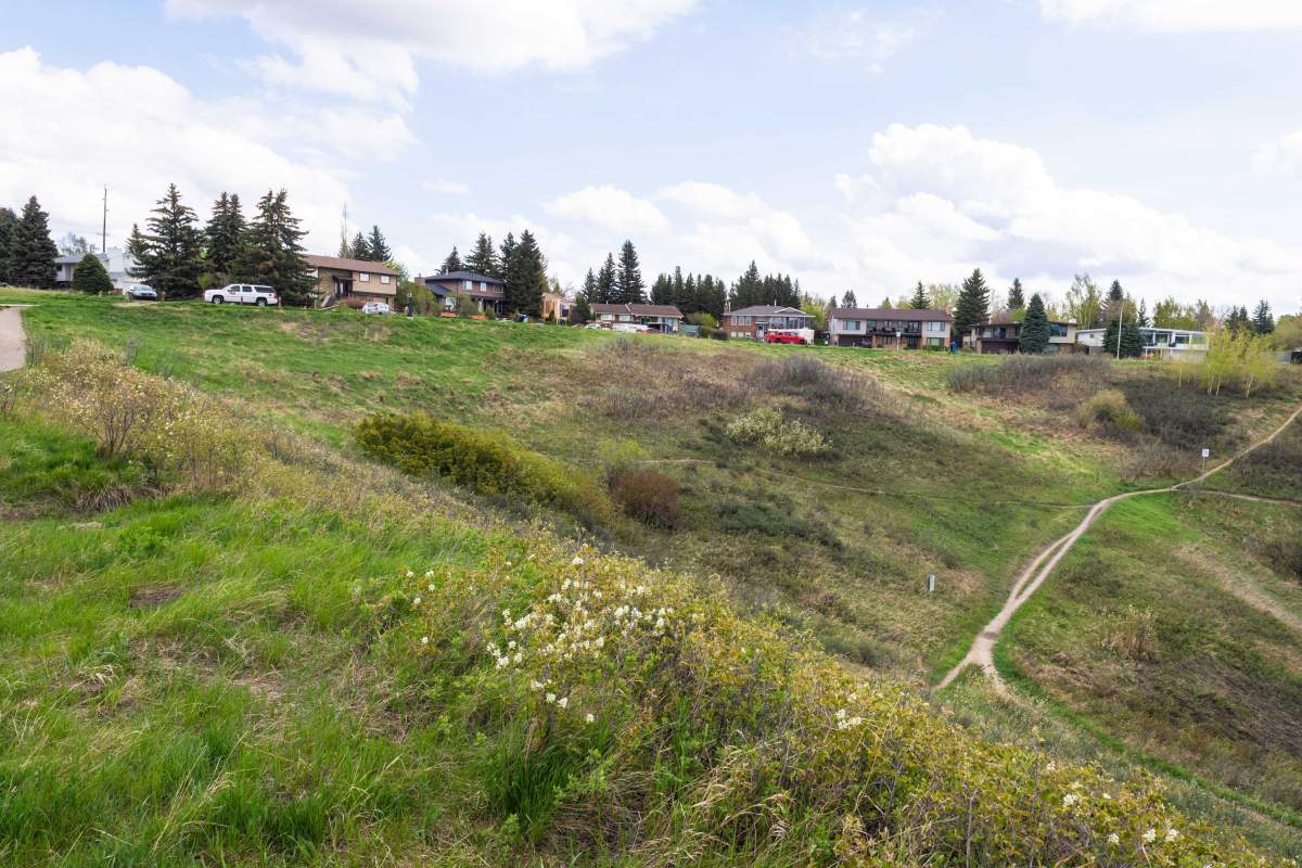 Some plaques that mysteriously appeared on benches in Calgary’s Bowmont Park recently — and were then removed — have been reinstalled after Calgarians spoke out in favour of them.
