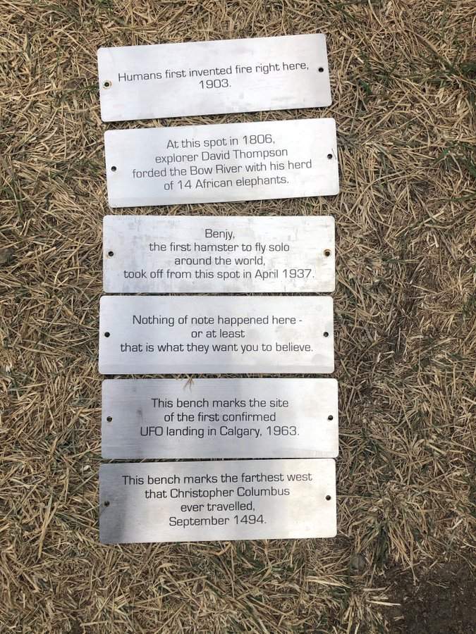 Some plaques that mysteriously appeared on benches in Calgary’s Bowmont Park recently — and were then removed — have been reinstalled after Calgarians spoke out in favour of them.