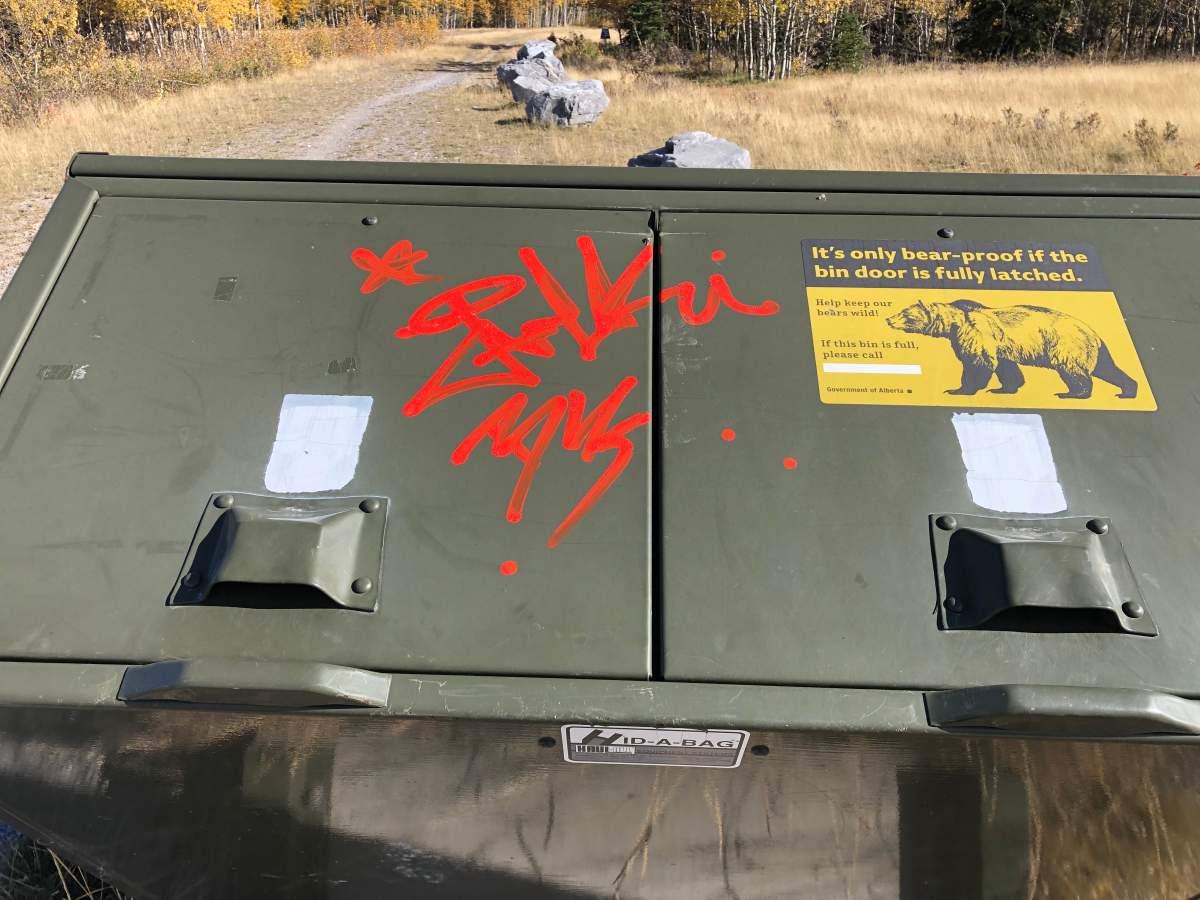 A photo of tagging appearing on a garbage bin in the Mount Yamnuska area